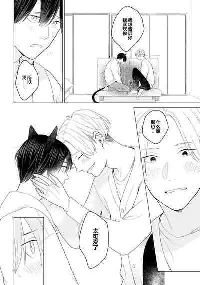 恋爱中的猫咪想被抚摸