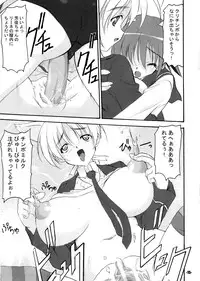 (C78) [EXtage (Minakami Hiroki)] P.H.N (Strike Witches)
