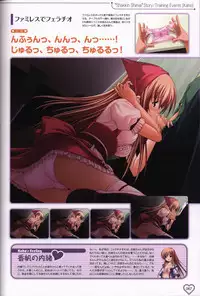 Shakkin Shimai&Shakkin Shimai2 visual fanbook