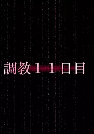 『檻』ー淫肉調教録ー