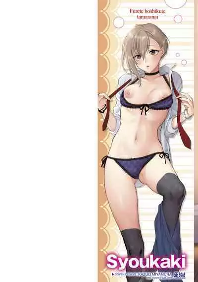 [消火器] ふれてほしくて たまらない 未来數位、eve個人拼接版 無修正 DL版