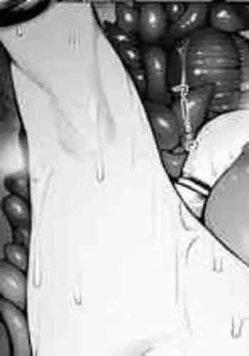 [Jury] Madoushi-chan ga Mushi Monster ni Osowareru Hanashi | A Story about a Mage Who Gets Attacked by an Insect Monster [KenGotTheLexGs] English