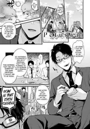 Petunia | 矮牽牛花