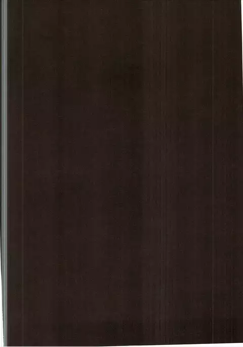 Andira Shiru | Andira Juice