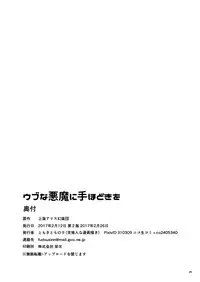 [Yosutebito na Mangakaki (Tomoki Tomonori)] Ubuna Akuma ni Tehodoki o (Touhou Project) [Chinese] [oo君個人漢化] [Digital]