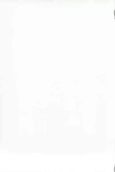 C88 Kaijou Genteibon Denma o Motte Rin-chan Seisu