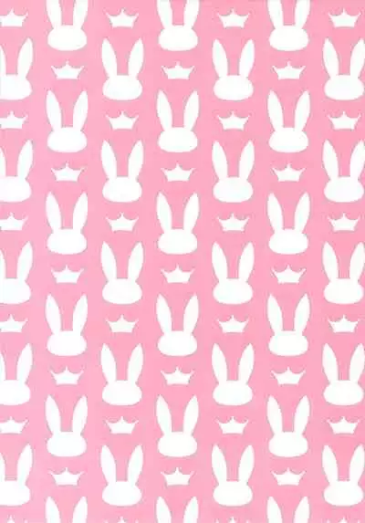 Madoromi Usagi | 打盹的兔子