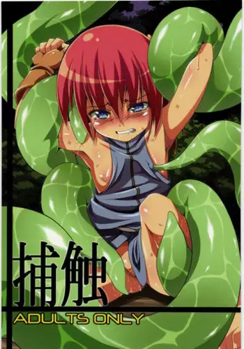 (C83) [Al Dente (Tsuna)] Hoshoku 5 [Chinese] [脸肿汉化组]