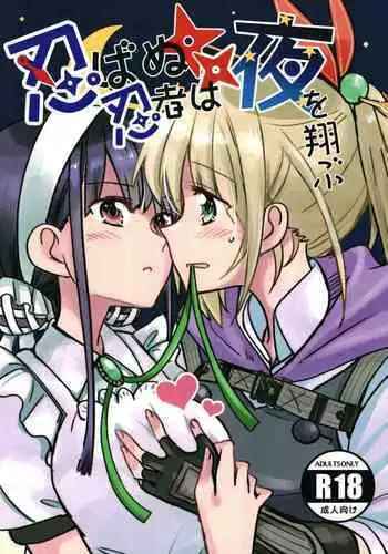 Shinobanu Ninja wa Yoru o Tobu | 无法忍耐的忍者翱翔于深夜