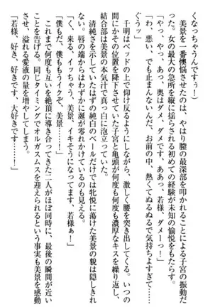 年上メイドの新婚日記