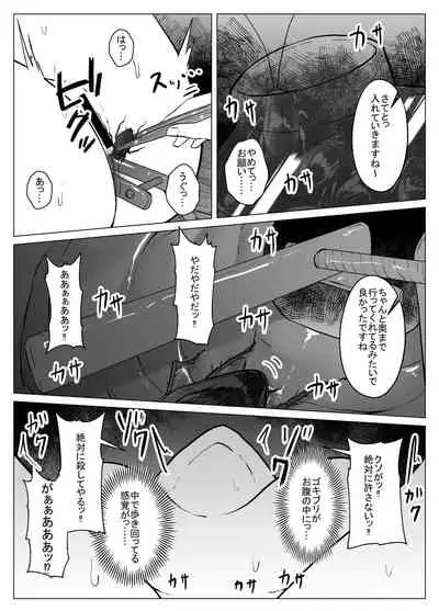 [TeruTeruGirl ] Joketsu 蟲 Ni 堕Tsu ~ hokai shita en kara no kyosei ~