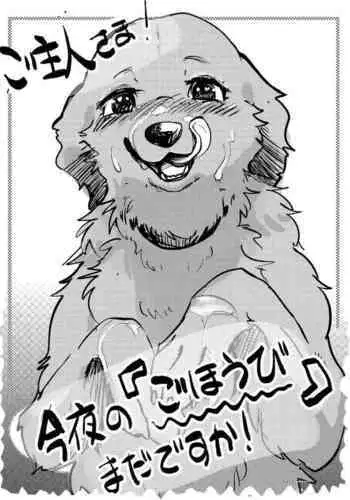 パイロゼッター