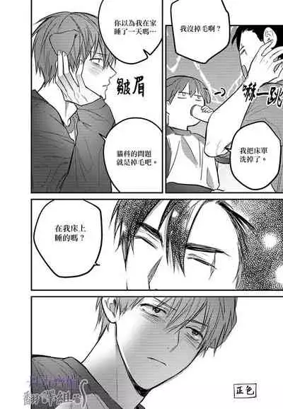 巴夫洛夫的大貓貓 01-14