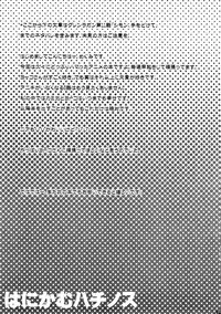 (SC36) [Yakiniku Teikoku (Hayate Megumi)] Hanikamu Hachinosu (Tengen Toppa Gurren Lagann) [English] [Ryuunotamashii]