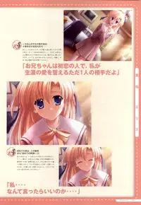 Canvas2 ~茜色のパレット~ ビジュアルファンブック