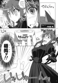 (C75) [TOYBOX, Kujira Logic (Kurikara, Kujiran)] Gensoukyou Chichi Zukan - Chi (Touhou Project)