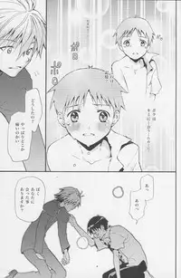 (C77) [RAYTREC (Fuyunagi Reku)] +PLUS (Neon Genesis Evangelion)