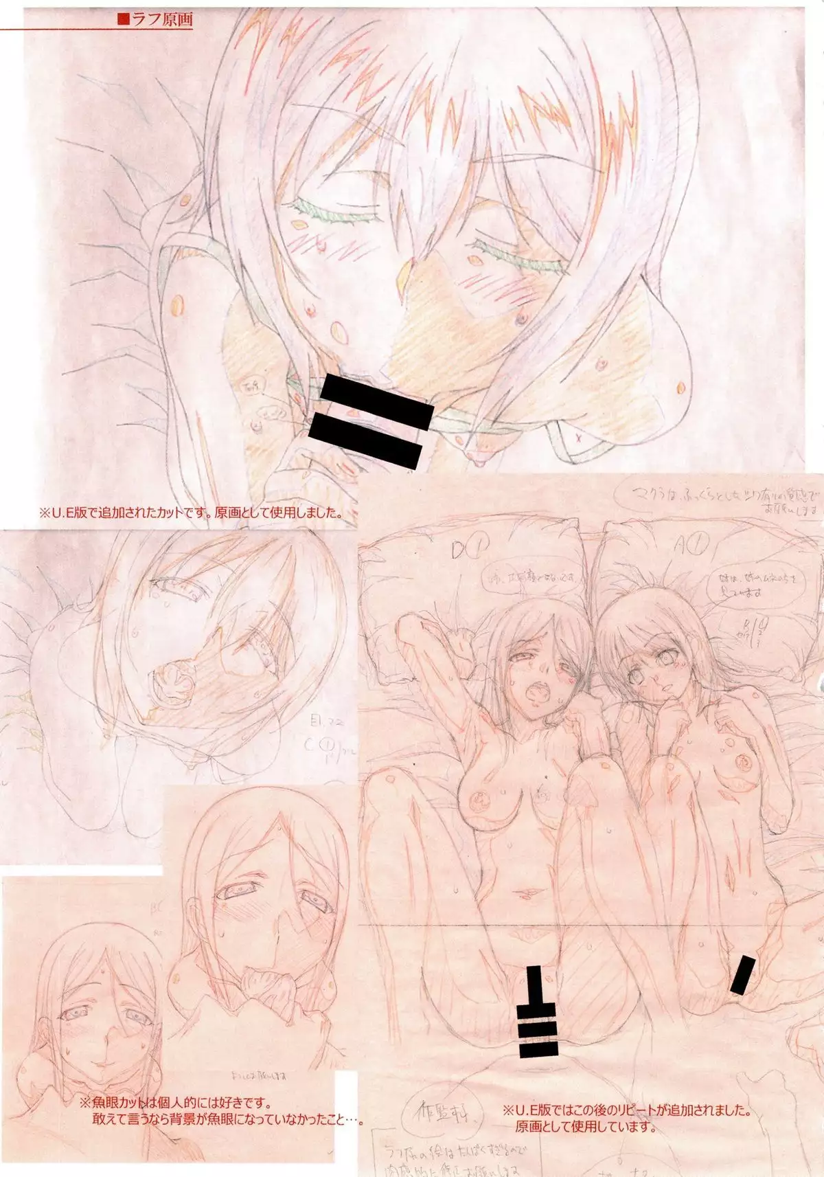 SISTERS -Natsu no Saigo no Hi- H Scene All Part Storyboard