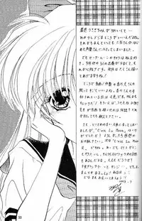 (C45) [Chou-Cream-Sunday (Minakami Hiroki)] C'est La Moon (Bishoujo Senshi Sailor Moon)