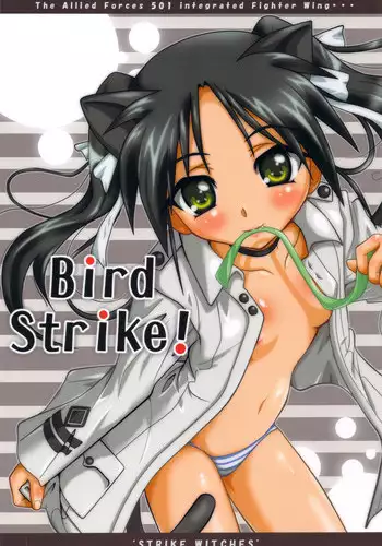 (C77) [Terradrive] Bird Strike! (Strike Witches) [English] [lunatic Translation]