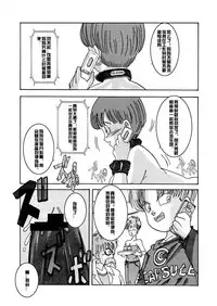 [Light Rate Port Pink] Tanjou!! Aku no Onna Senshi - Videl Sennou Kaizou Keikaku (Dragon Ball Z) [Chinese] [村长个人汉化]