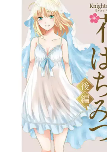 【夏コミ新刊】英雄王女体化本 fate sample
