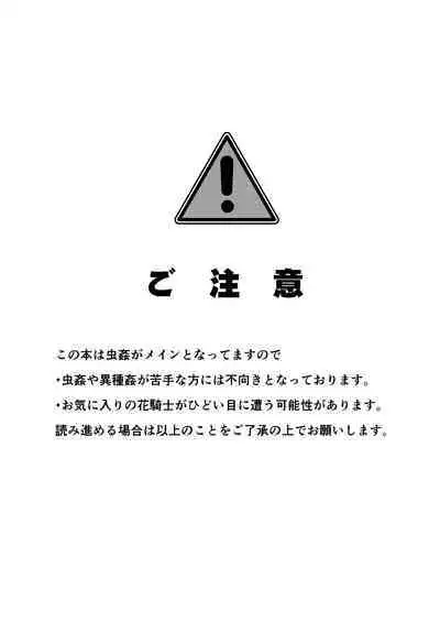 Gaichuu Higai Houkokusho File 4