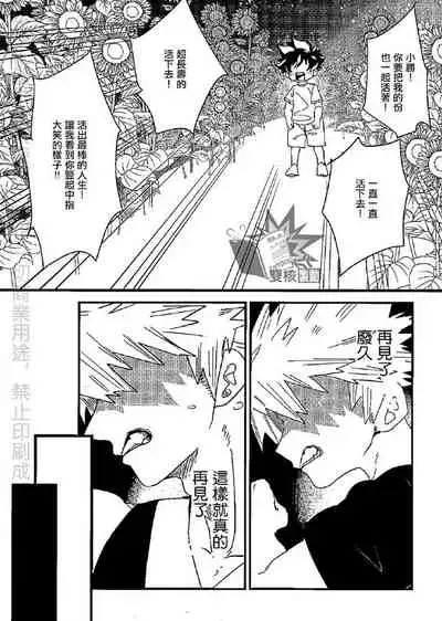 (Douyara Deban no Youda! 17) [Ultimate safaripark (Horiuchi Mochiko)] Saraba Itoshi no (Boku no Hero Academia) [Chinese]