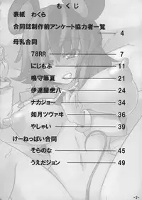 (C81) [San Bit Yuugeki-tai (Various)] Oppai Yarou B-team THE THREE PROJECT (Touhou Project)