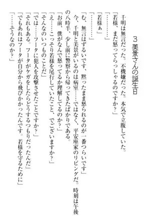 年上メイドの新婚日記