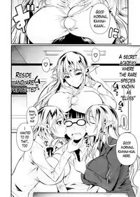 (C87) [Shoot The Moon (Fuetakishi)] High Elf × High School [English] [Lazarus H]