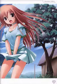 Shakkin Shimai&Shakkin Shimai2 visual fanbook