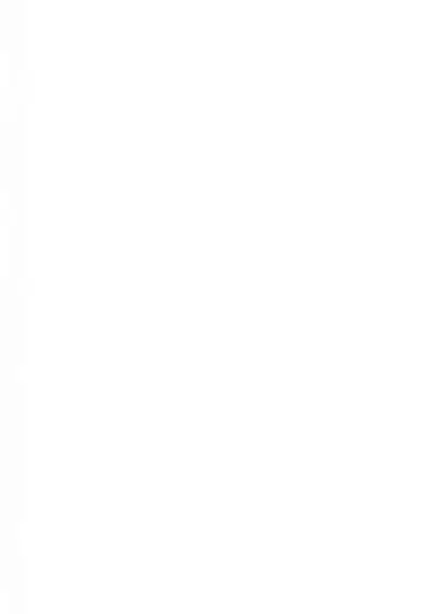 Omae Nanka Daikirai da Baaka! | 最讨厌你了笨蛋!