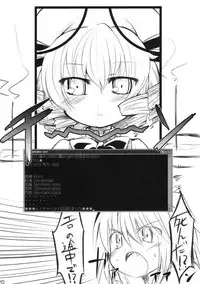 (Reitaisai 5) [IncluDe (Foolest)] BRIGHTNESS DARKNESS (Touhou Project)