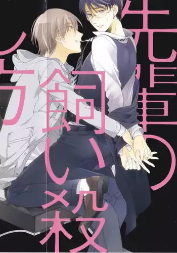 とりあえず入渠する?提督?
