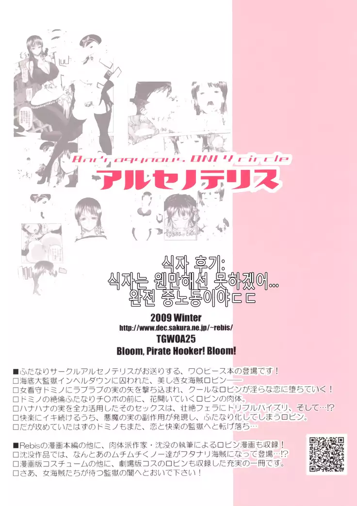 Midarezaki Joshuu Kaizoku