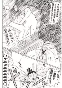 (C73) [PNO Group (Hase Yuu)] Illya with SellaLeys-bun Hokan Keikaku!!! (Fate/kaleid liner Prisma Illya)