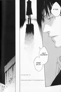 [GD-mechano (Izumi Yakumo)] Zankyou, Kieru Made | Until the Reverberation Died Away (Fullmetal Alchemist) [English] [tianneh]