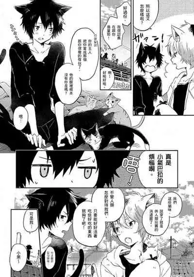 Kiss Shite Yowamushi-kun! | 吻我啊,胆小鬼!