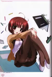 Shakkin Shimai&Shakkin Shimai2 visual fanbook