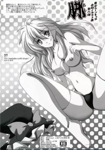 (Reitaisai 6) [Dokugiri (Various)] Touhou KneeSo Chara Goudou Illust Shuu Dai-ni-dan Ashi (Touhou Project)