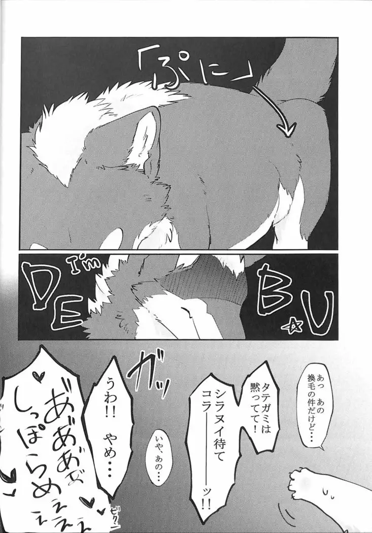 D-Point! - Daiga Tsukune x