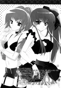 (C74) [MAKA-RAKKO (Matsushita Makako, Rakko)] C no Sekai (CODE GEASS: Lelouch of the Rebellion)