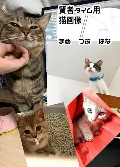 [Mametsubu Shouten (Taiban Steak)] Papa wa Musume ga Daisuki [Digital]