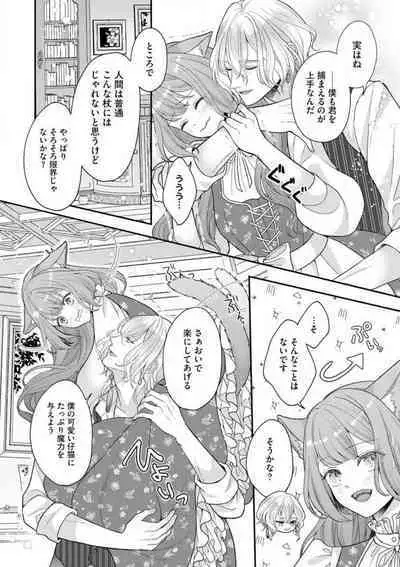 Nene to Ikoku no Mahoutsukai Isekai ni Shoukan Sareta to Omottara, Naze ka Koneko to shite Aigan Saretemasu 1-5