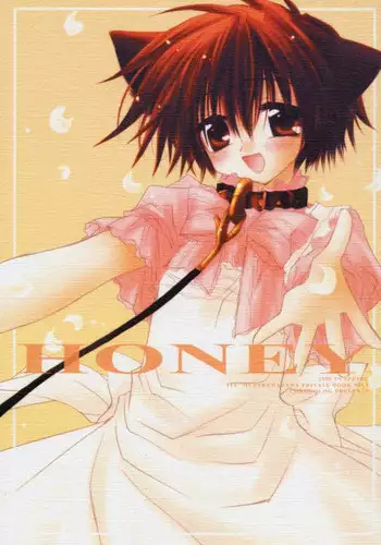 (CR27) [CHRONOLOG (Kanaru Fujimiya, Sakurazawa Izumi)] HONEY (Shin Megami Tensei if...)