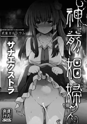 (C91) [Armament Calcium (Take Calcium)] Shinzen Shoufu (Touhou Project) [Chinese] [朔夜汉化]