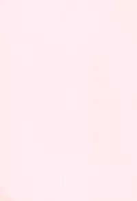 (C68) [Dennougiwa (Takano Iori)] Twins Note (Fushigiboshi no Futagohime)