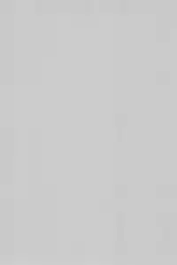 (C54) [P.A.Project (Teruki Kuma)] Teddy☆Bear no Omise Special (Various)