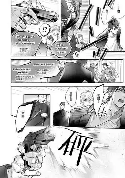 Burlesque Night | 艳舞荒诞夜